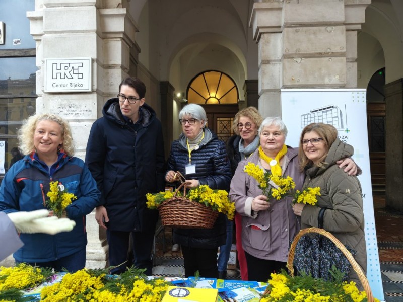 mimoze_korzo_2026__1_ 