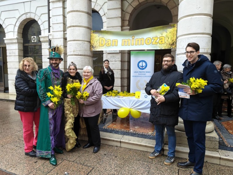 mimoze_korzo_2026__2_ 