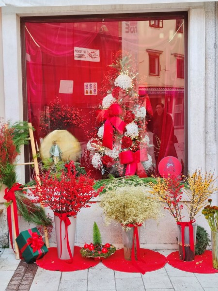 najljepsi_izlog_cicak_ 