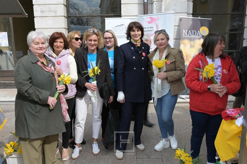 narcisi_korzo_2026__1_ 