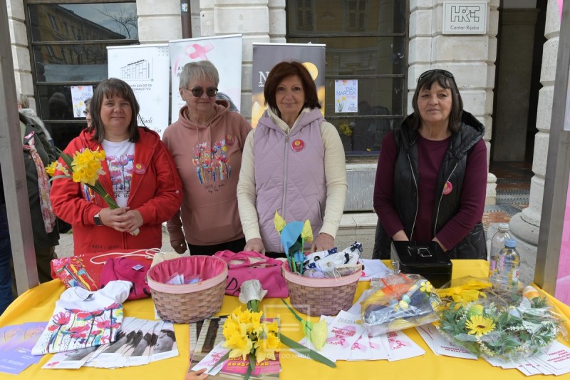 narcisi_korzo_2026__3_ 