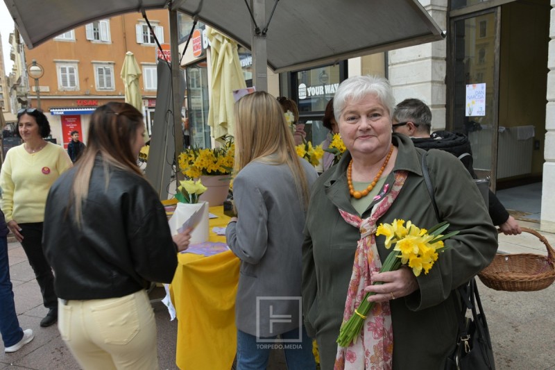 narcisi_korzo_2026__4_ 