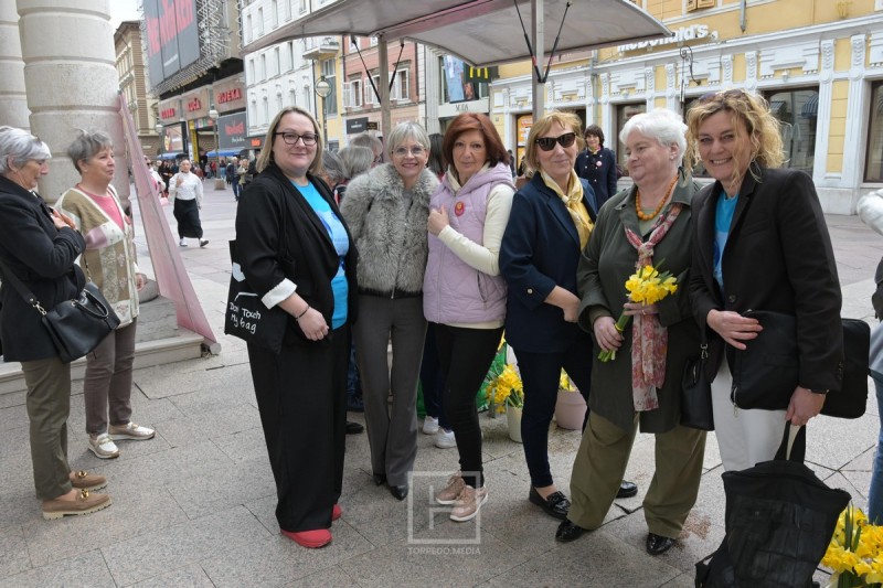 narcisi_korzo_2026__6_ 