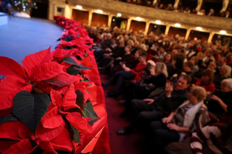 novogodisnji_koncert_2025_ivanapl_zajca__1_ 