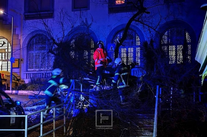 opatija_stablo_intervencija_2026__1_