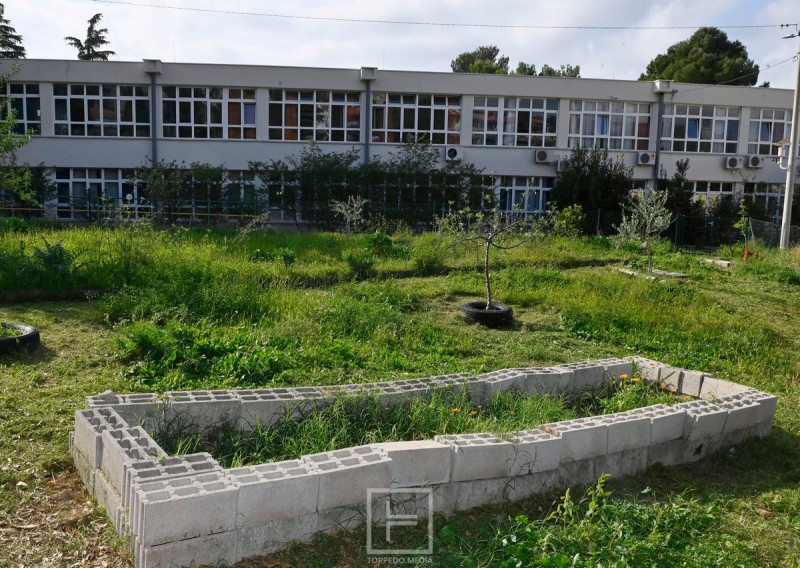 os_gornja_vezica_vrt_samoniklo_bilje__1_ 