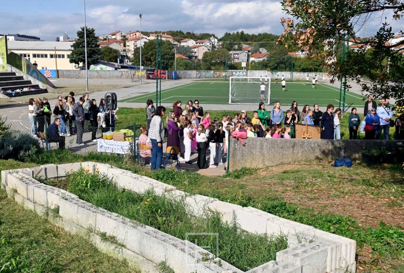 os_gornja_vezica_vrt_samoniklo_bilje__3_ 
