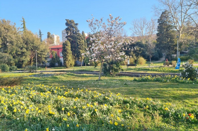 park_mlaka_ 