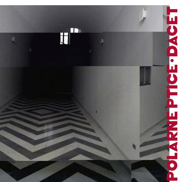 polarne_ptice_1