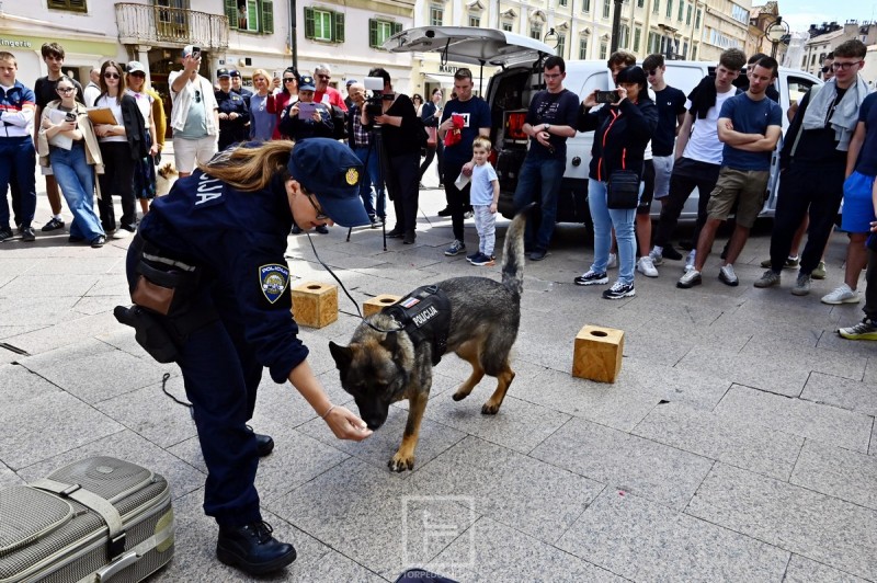 policija_korzo_2026__10_ 