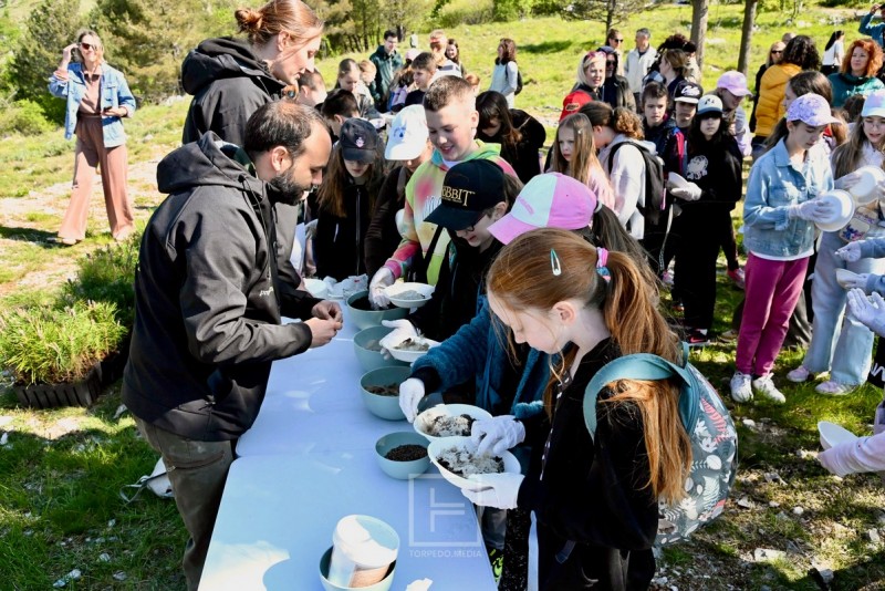 posumljavanje_svilno_2026__3_ 