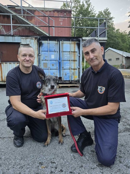 potrazni_psi_sapjane_2025__5_ 