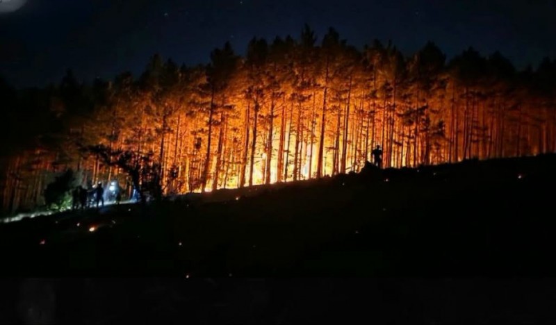 pozar_zlobin 