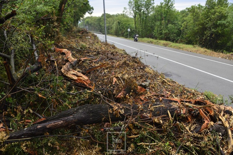 preluk_kostabela_ciscenje_zelenila__5_