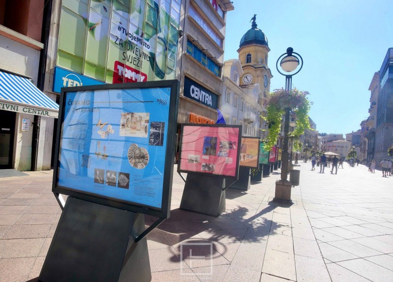 prirodoslovni_muzej_postamenti__6_ 