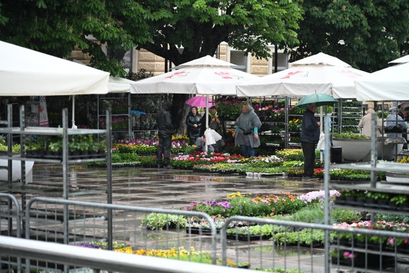 sajam_cvijeca_kont_2026__1_
