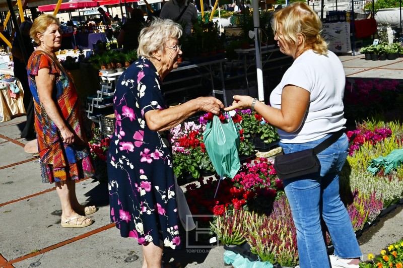 sajam_cvijeca_kont_2026__5_ 
