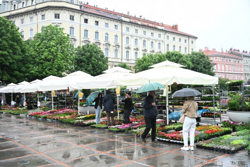 sajam_cvijeca_kont_2026__6_-98305