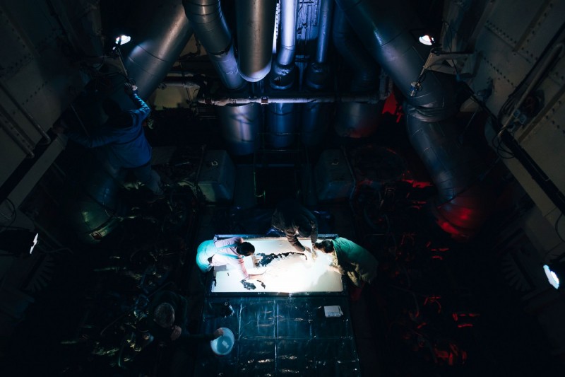 saline_nebula_galeb_hkd__2_ 