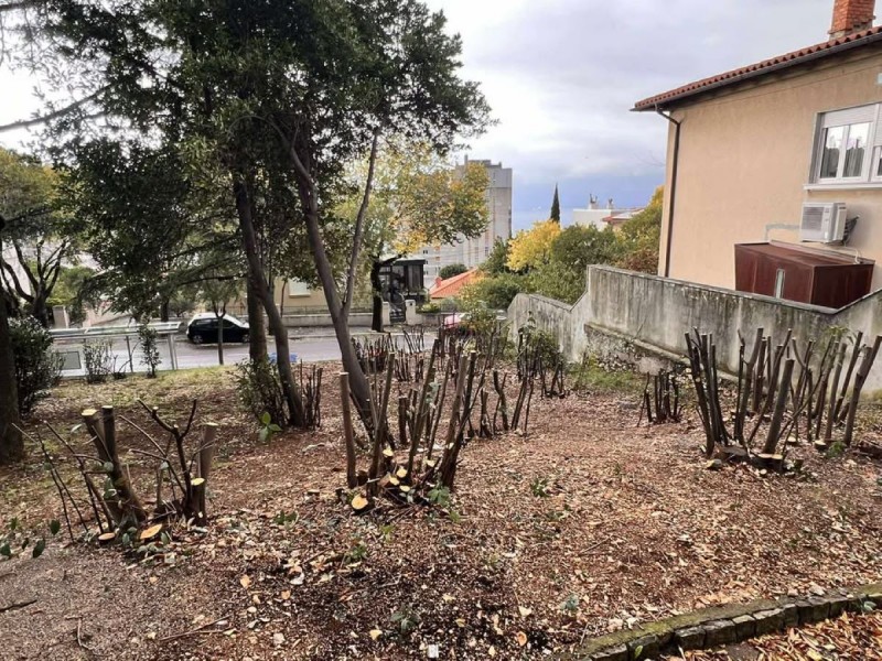 sjeca_stabala_mihanoviceva_ulica-1 