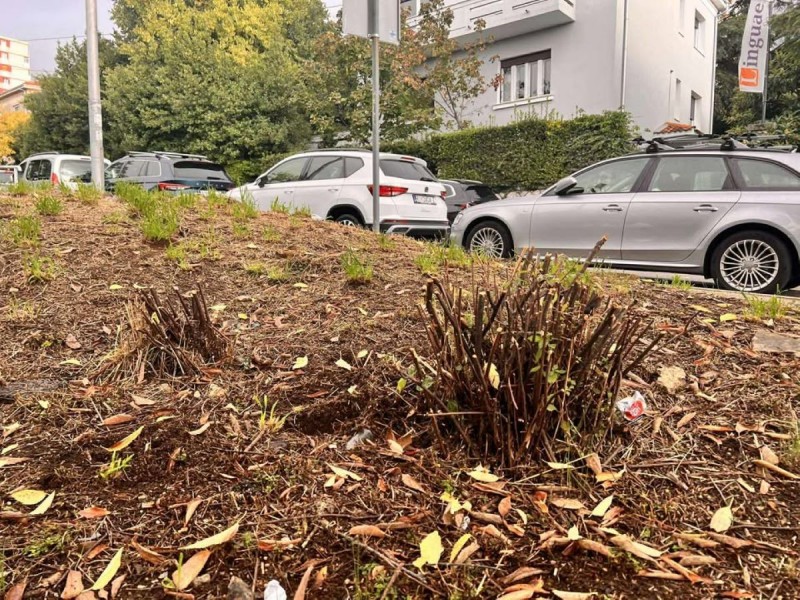 sjeca_stabala_mihanoviceva_ulica-2 