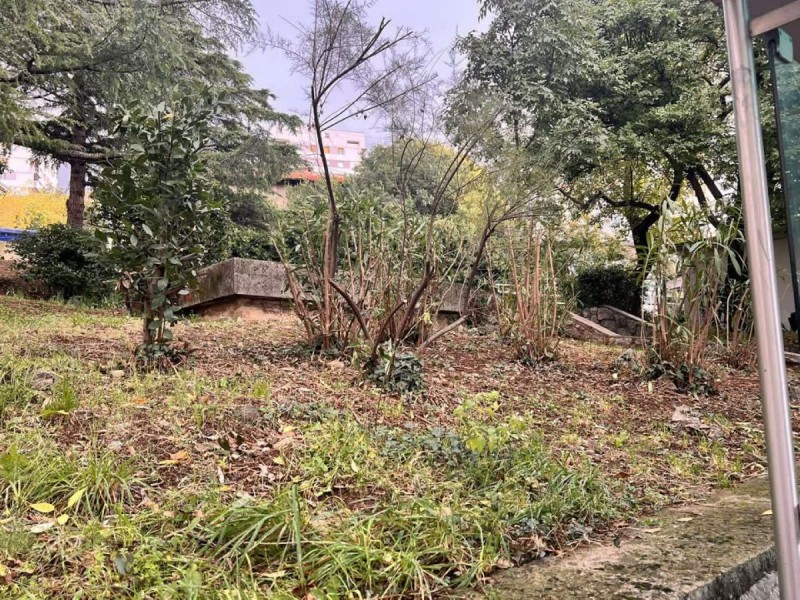 sjeca_stabala_mihanoviceva_ulica-3 