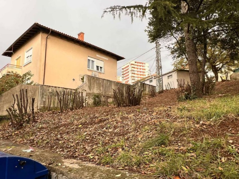 sjeca_stabala_mihanoviceva_ulica 