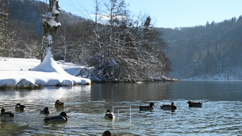 slunj_rastoke_plitvice_2024_tz__3_ 