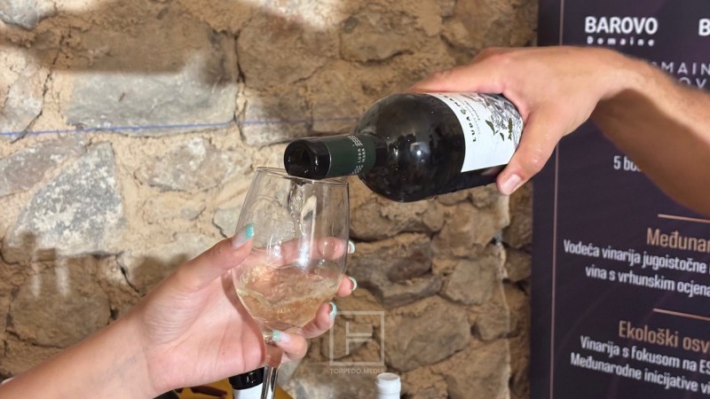 smotra_vina_grobnik_2025__12_ 