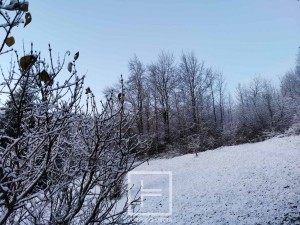 snijeg_gorski_kotar_2023-02619 