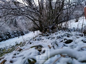snijeg_gorski_kotar_2023 