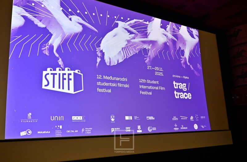stiff_festival_art_kino__2_ 