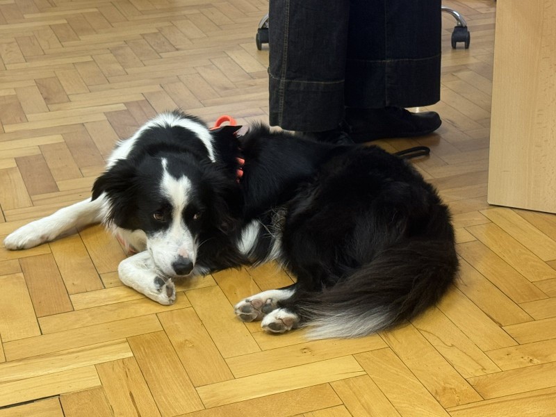 terapeutski_pas_mak_2026__2_ 