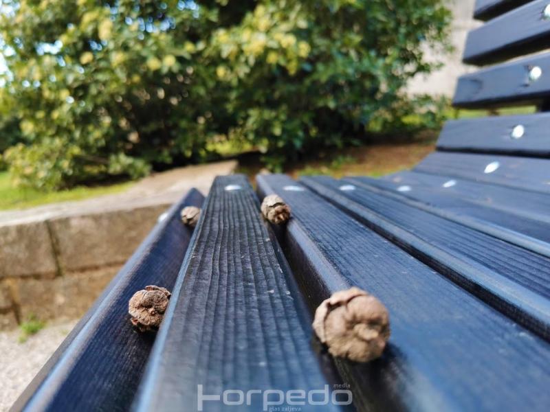 trsatski_park_rijeka_park_heroja_2022__1_
