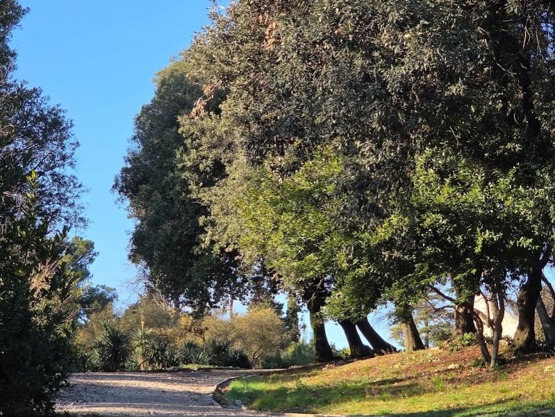 trsatski_park_tribina__1_