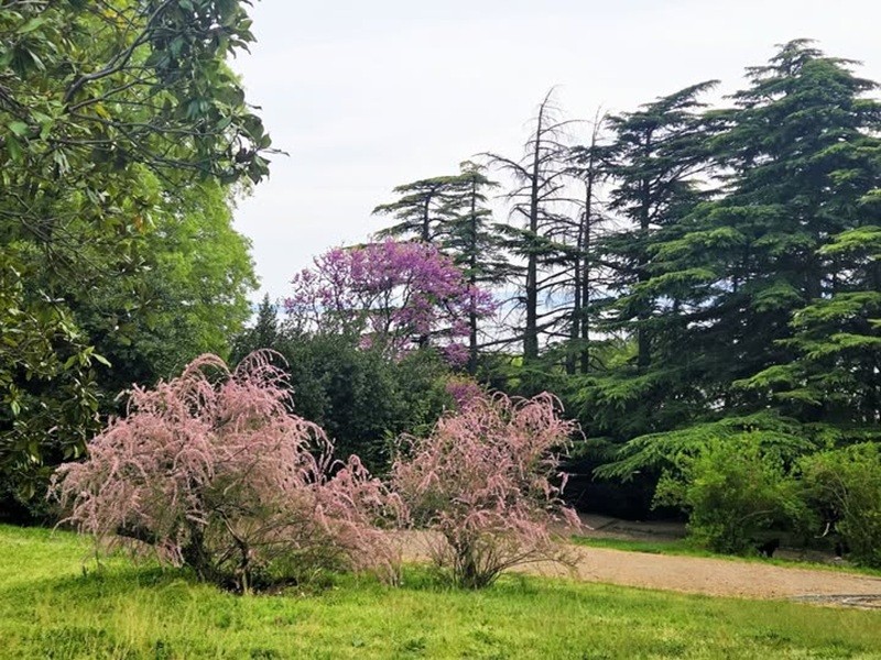 trsatski_park_tribina__2_-31290