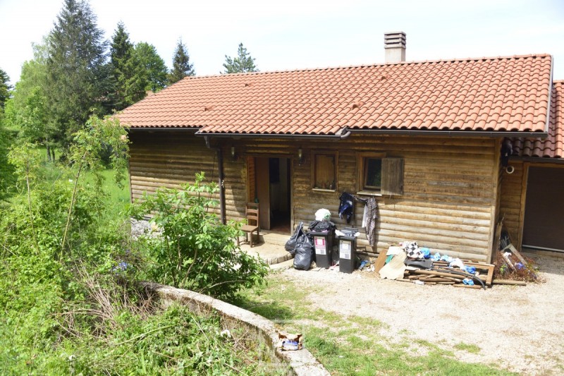 ucka_psi_horor_zlostavljanje_imanje__1_-23894 