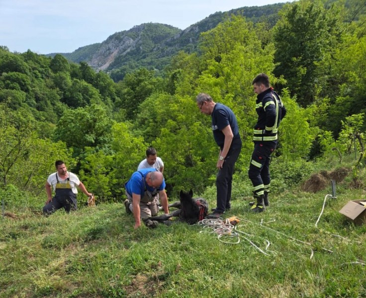 vatrogasci-intervenica-lopaca-1024x834__1_ 