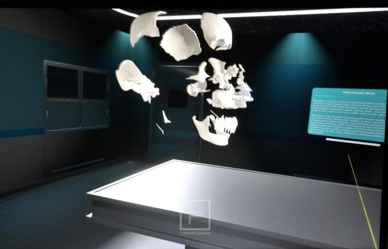 vrr_anatomija_medicinska_skola__5_