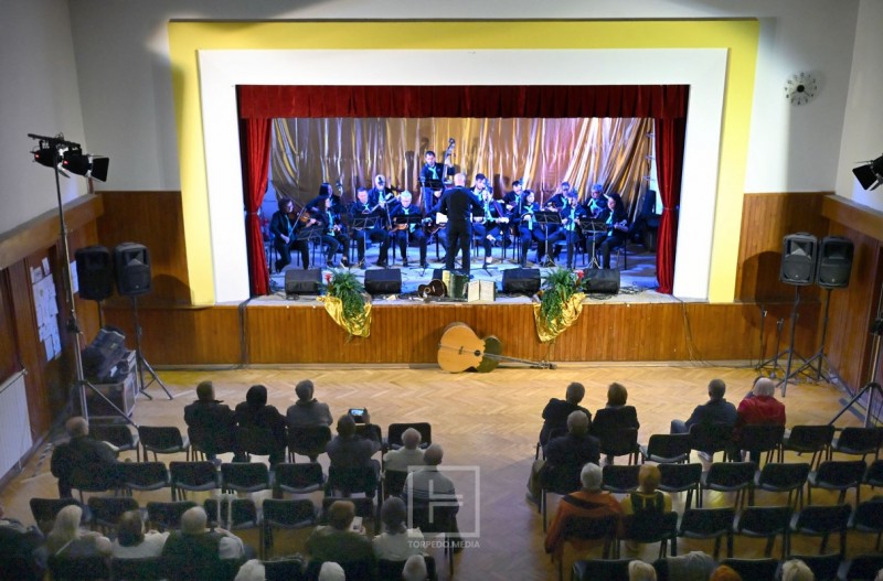 zamet_maestroti_koren_2025__11_ 