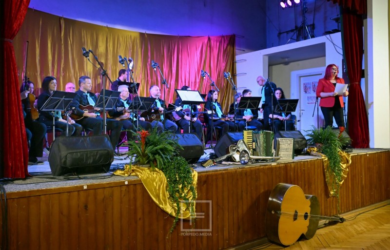 zamet_maestroti_koren_2025__2_ 