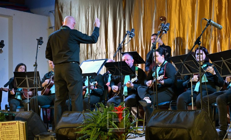 zamet_maestroti_koren_2025__7_ 