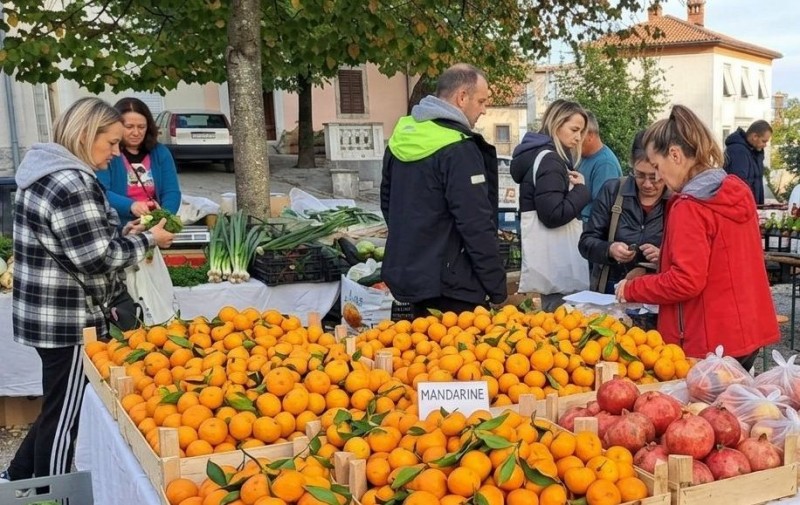 zeleni_kastav-98731 