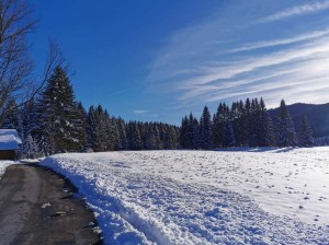 zimska_idila,_snijeg,_ravna_gora_1 