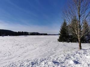 zimska_idila,_snijeg,_ravna_gora_2 