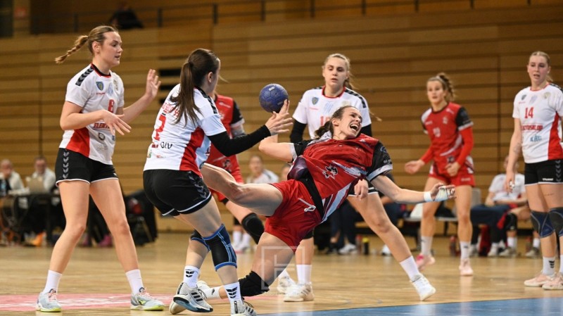 zrk_zamet_dugo_selo_2026__7_