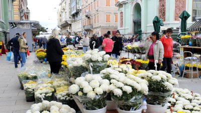 FOTO Središte grada u bojama krizantema –  Stotine tisuća cvjetova ukrasit će grobnice najbližih