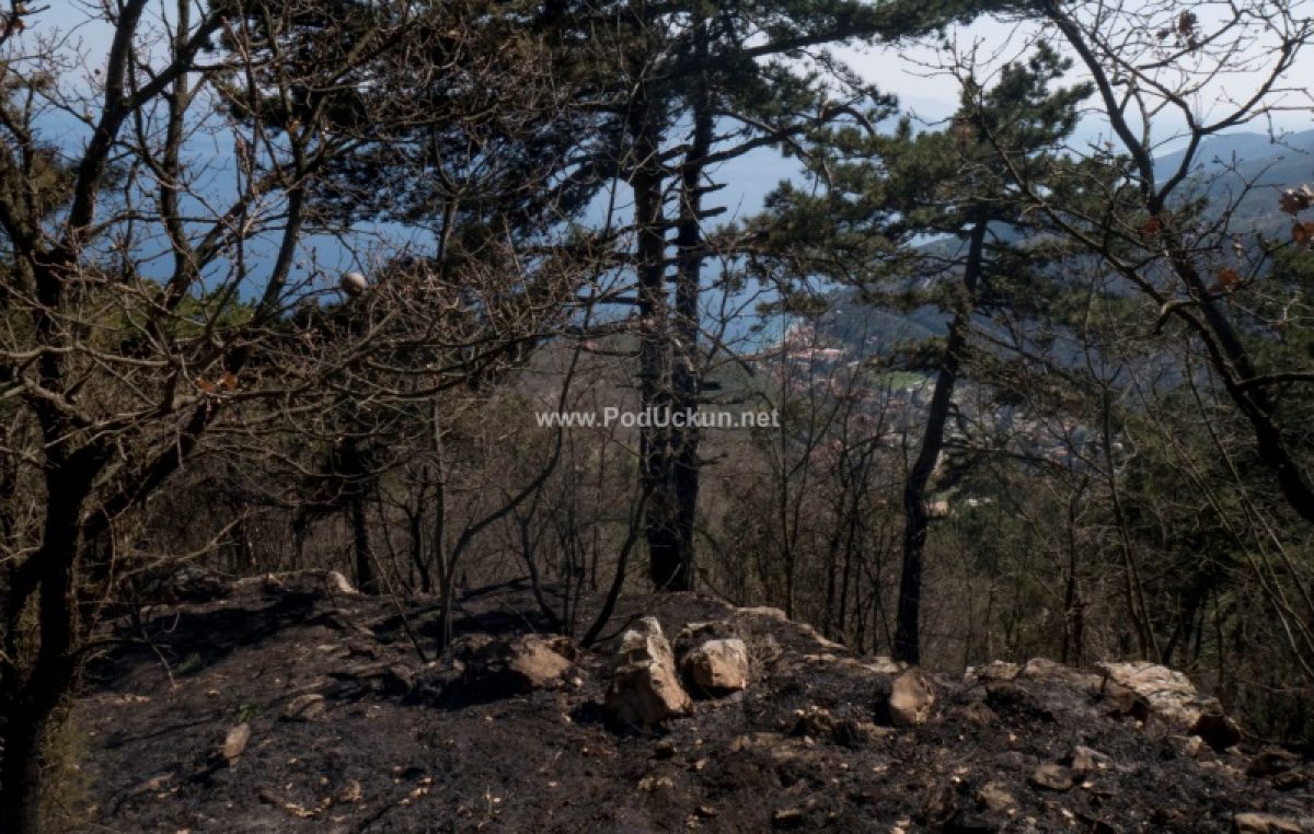 VIDEO Izgorjelo 17 hektara makije i borovine na Obršu – Silovit požar opustošio učkarsko zelenilo