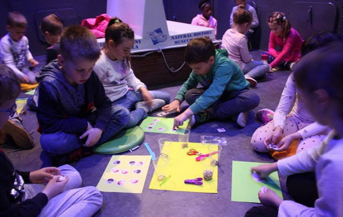 Prirodoslovni muzej Rijeka organizirao radionice za djecu predškolske i osnovnoškolske dobi