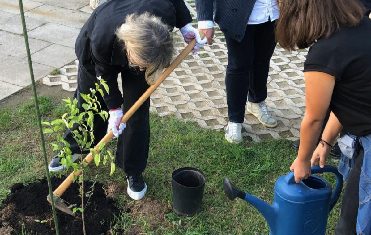 Zasadi stablo, ne budi panj: Kampanja sadnje stabala u Hrvatskoj “Jesen 2021.”